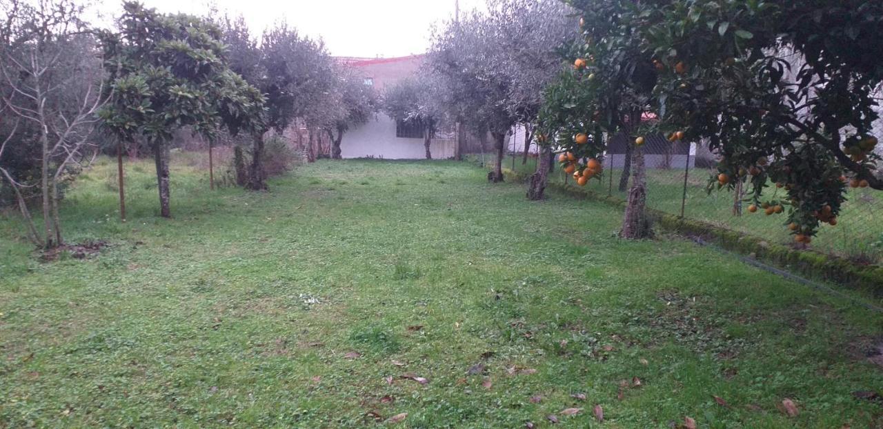 Casa Do Adro Villa Arcozelo  Eksteriør billede